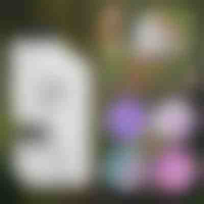 Microscopio portatile per bambini | MINISCOPIO