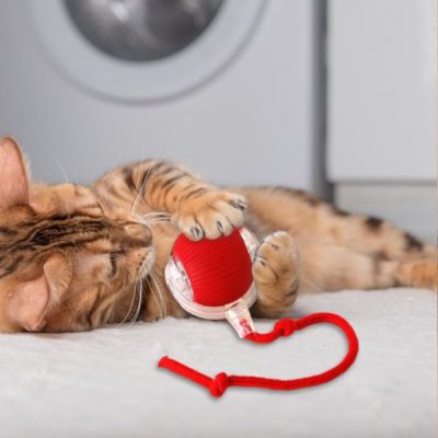 Giocattolo per animali che si muove al tocco | GATOPLAY